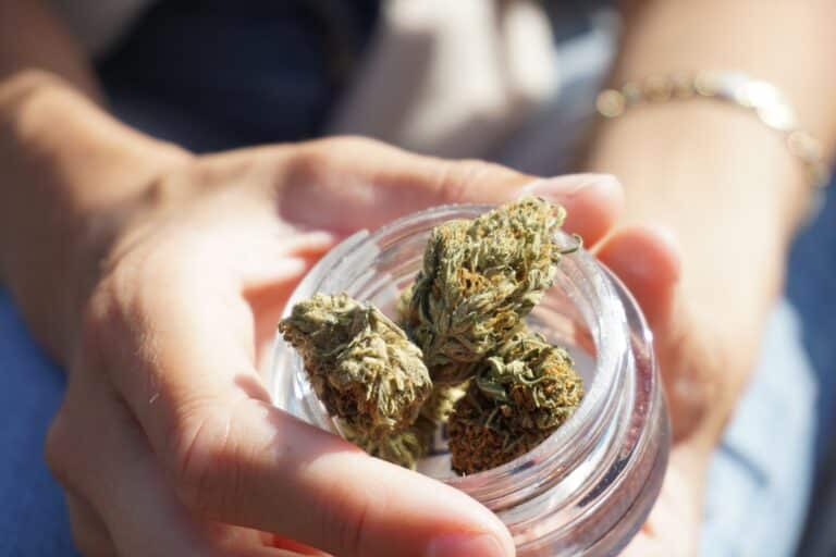Person holding cannabis flower in a jar.