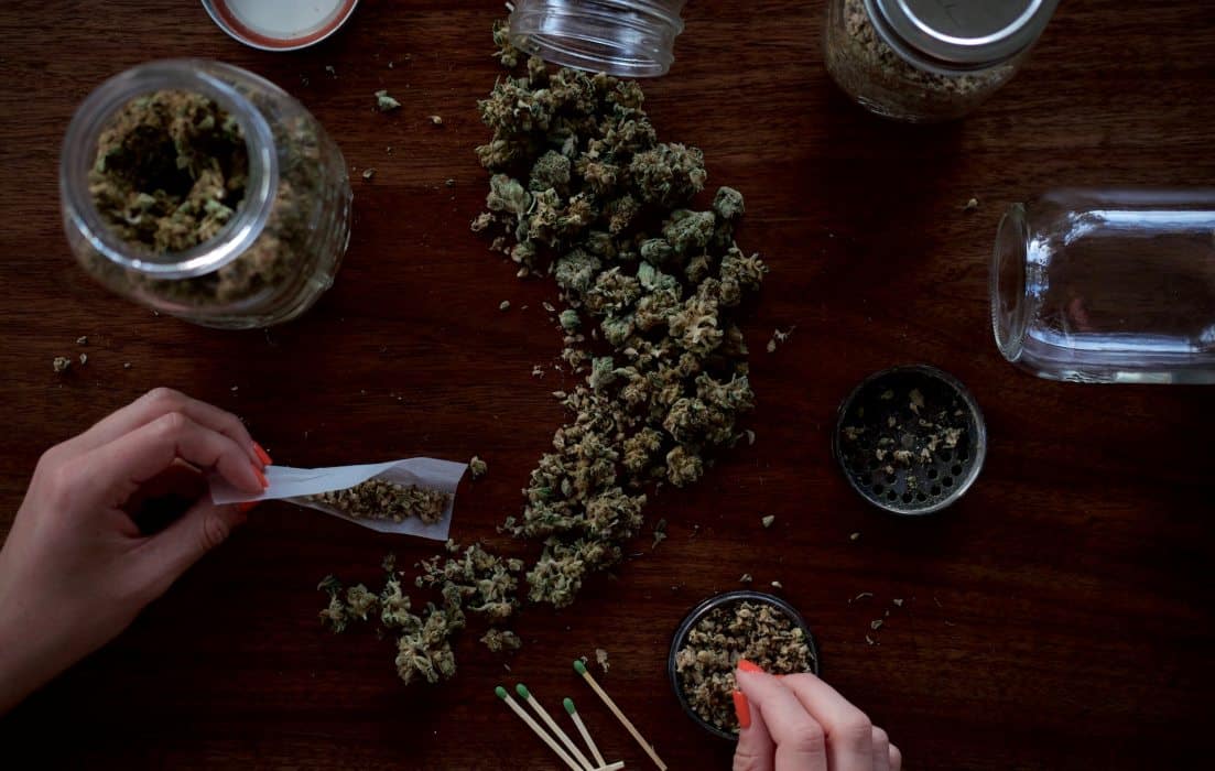 Woman rolling a joint using cannabis flower and weed grinder